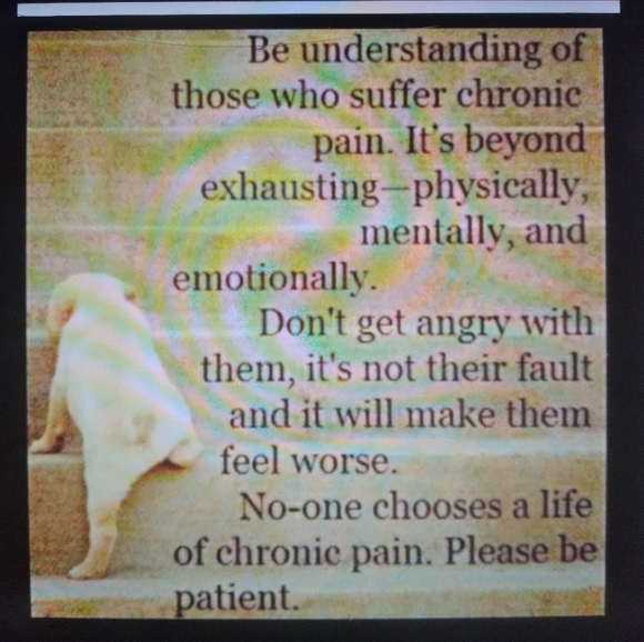 🌲 LANDS' END Spruce Tailored WOOL  Cardigan EUC Sz 14 VNUC 🌲 Pockets 😉 - Picture 7 of 16